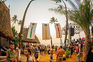 goa8.jpg
